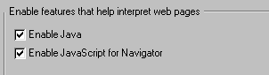 Screenshot of Java settings in Netscape Navigator. The options "Enable Java" and "Enable JavaScript for Navigator" are both checked.